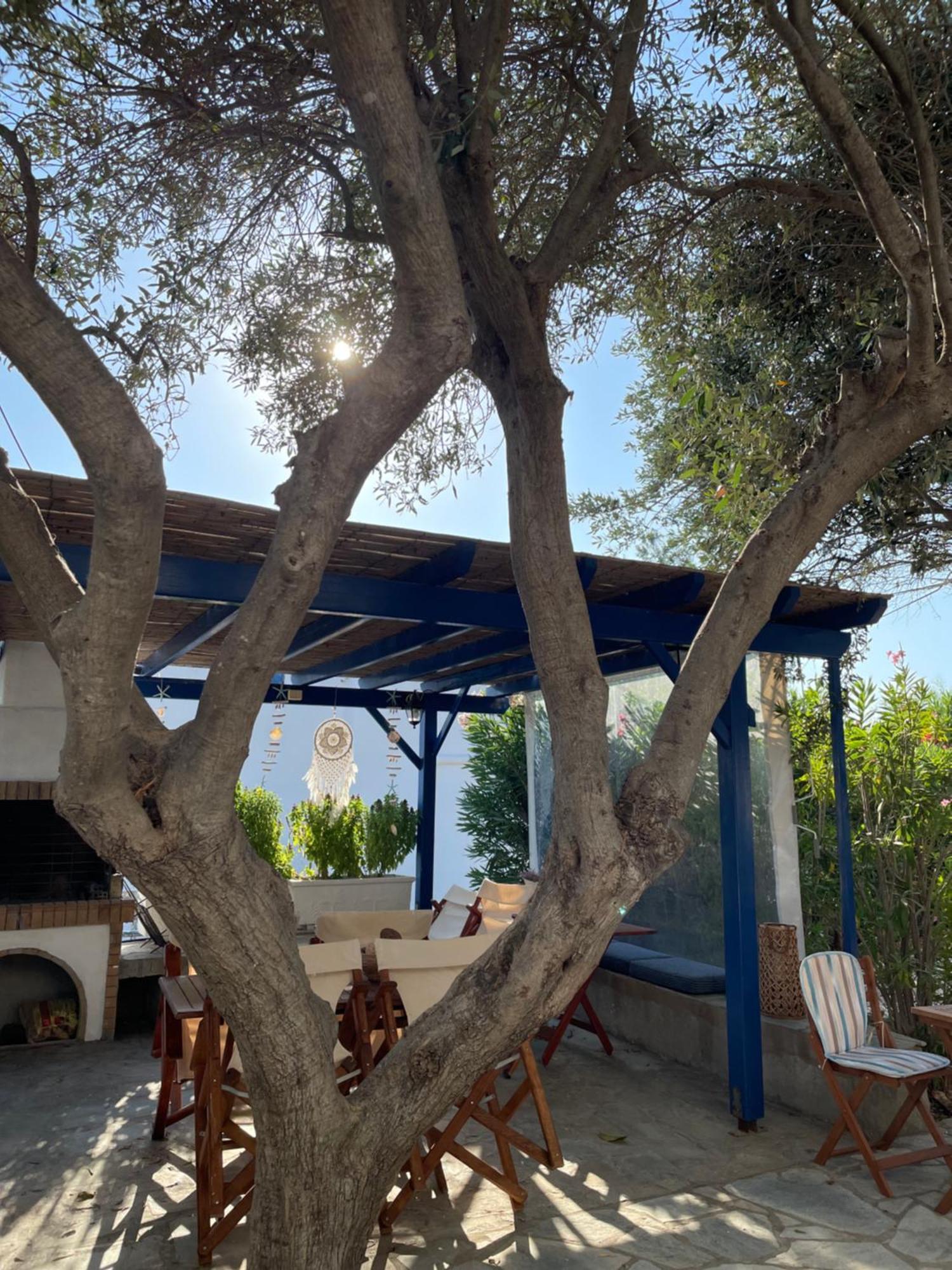 Villa Gelly'S Studios Alikí Exteriör bild