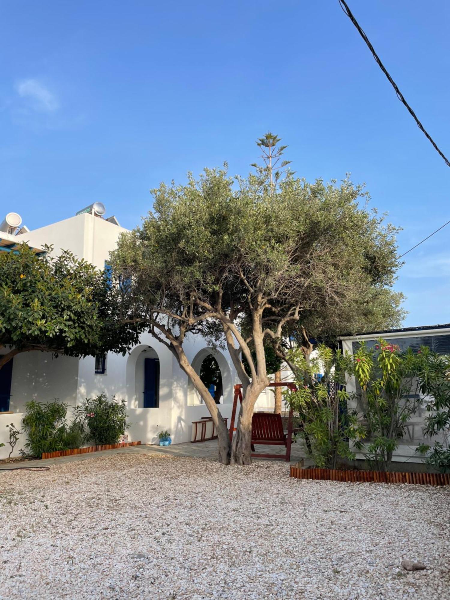 Villa Gelly'S Studios Alikí Exteriör bild